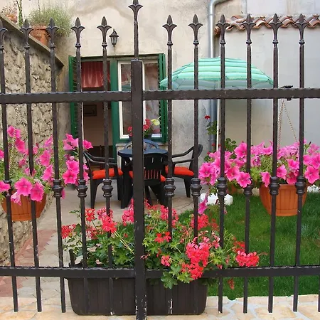 Boris * Labin (Istria)